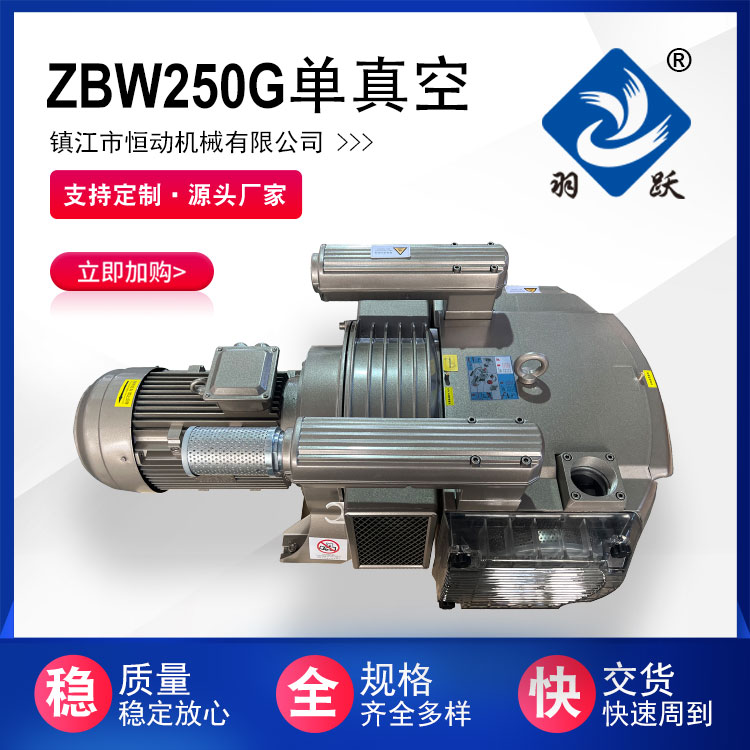 ZBW250G單級旋片式真空泵